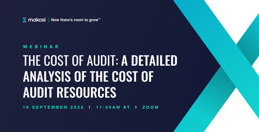 The Cost of Audit: A detailed analysis of the cost of audit resources